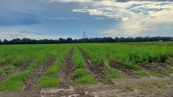 W Hwy 90 Frontage Rd, New Iberia, LA 70560